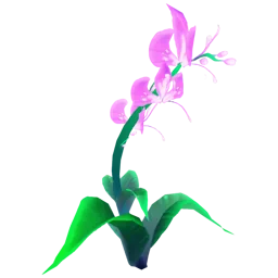 Elderwood Orchid
