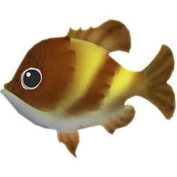 Bronze Bluegill