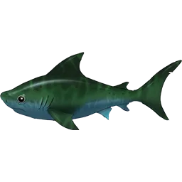 Lake Shark