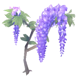 Royal Wisteria