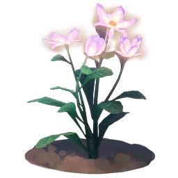 Lunar Anemone Flower