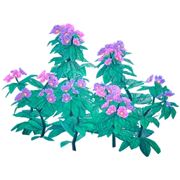 Elderwood Lilac