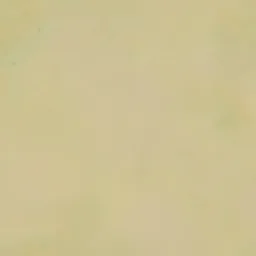 Sandy Citrine Stucco Wall