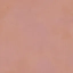 Peachy Garnet Stucco Wall