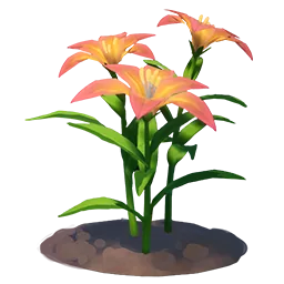 Tiger Lily Flower