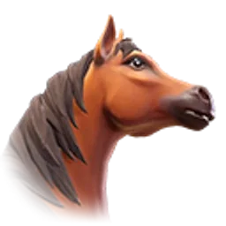 Akwinduu Thoroughbred