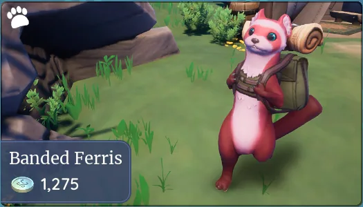 Banded Ferris
